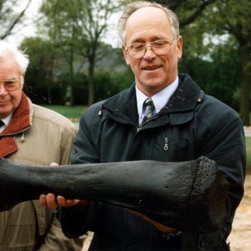 Verhaal SCvB-01 Boris of Bertha?—–Het mammoetjong van Borne (ca. 34.000 jaar geleden)
